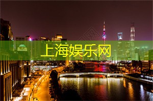 上海夜景之旅：霓虹灯下的浪漫与绚丽